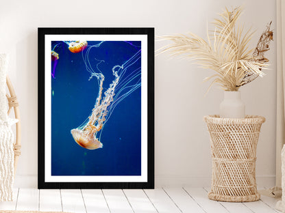 Jellyfish Underwater Closeup View Photograph Glass Framed Wall Art, Ready to Hang Quality Print With White Border Black