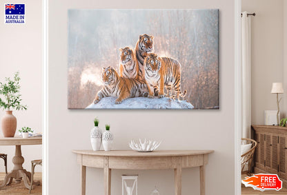 Siberian Tiger & Winter Wall Art Decor 100% Australian Made