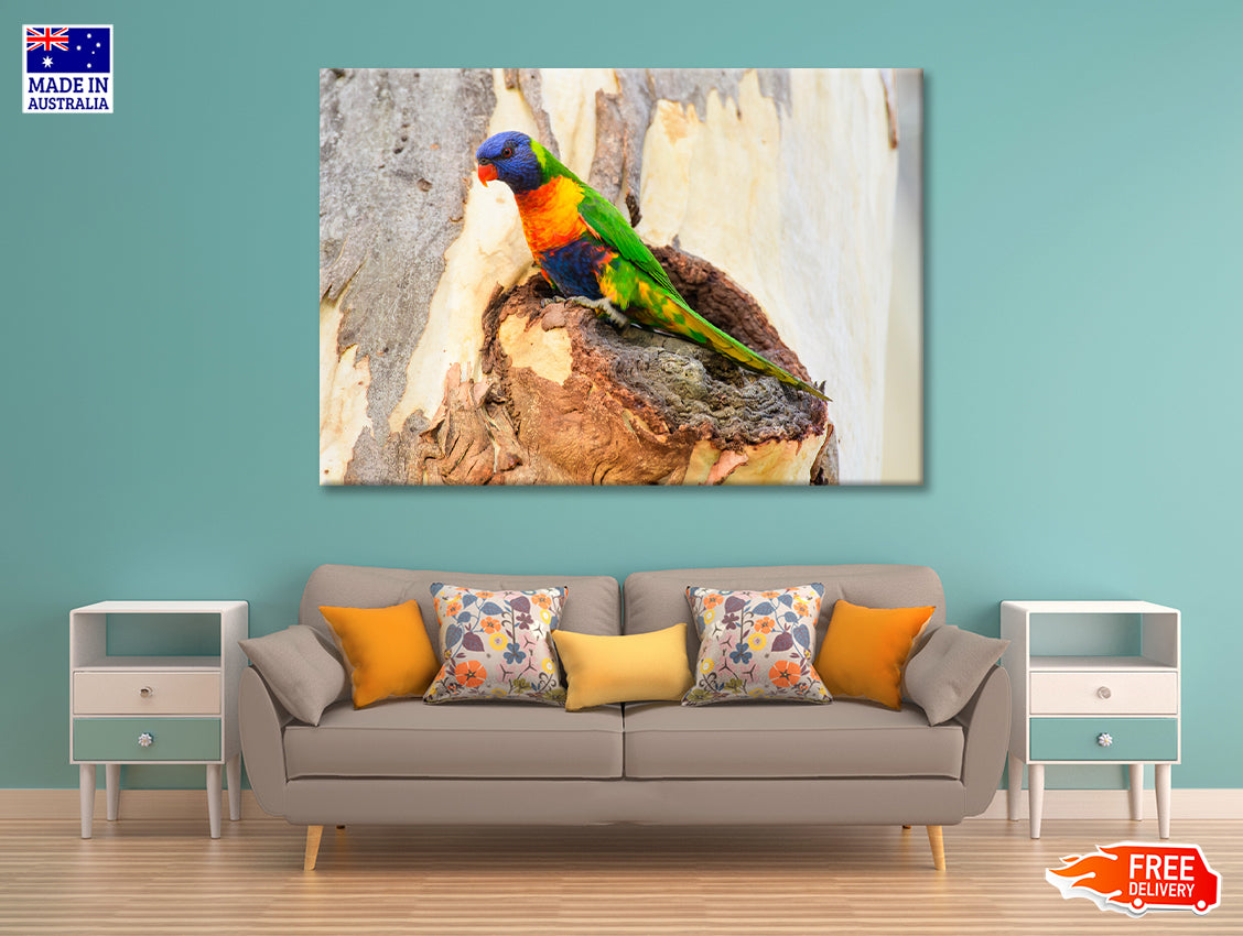 Rainbow Lorikeet Bird on Tree Print 100% Australian Made