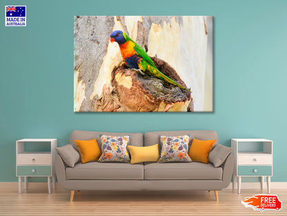 Rainbow Lorikeet Bird on Tree Print 100% Australian Made