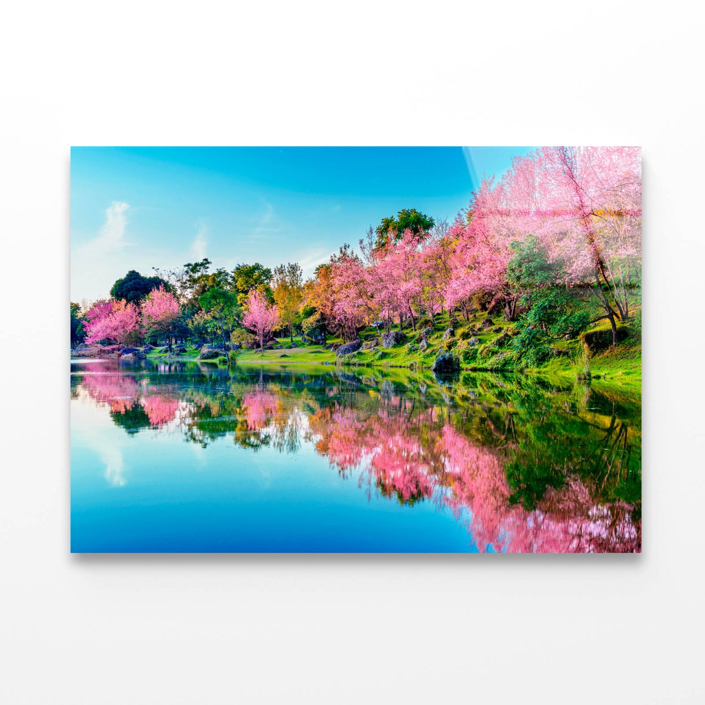 Spring in the Park Acrylic Glass Print Tempered Glass Wall Art 100% Made in Australia Ready to Hang