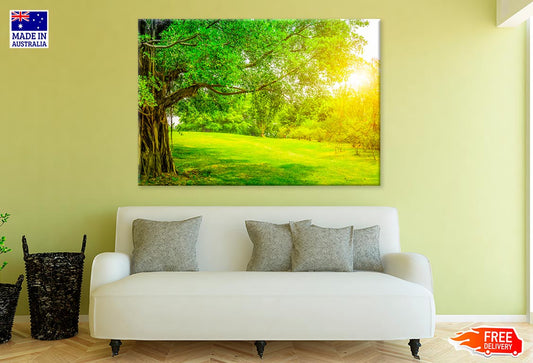 Greeny Park Forest & Sun Shining Print 100% Australian Made