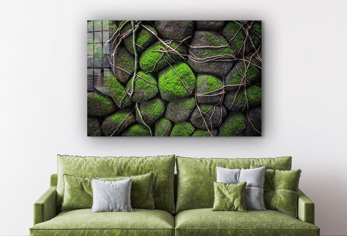 Rocks in the Moss UV Direct Aluminum Print Australian Made Quality