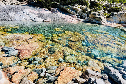 A Rocky Area with Water, Rocks and Plants Print 100% Australian Made