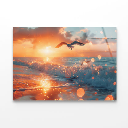 Bird Flying Over a Beach Acrylic Glass Print Tempered Glass Wall Art 100% Made in Australia Ready to Hang