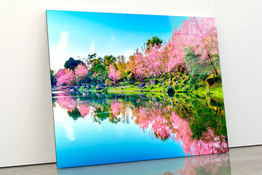 Spring in the Park Acrylic Glass Print Tempered Glass Wall Art 100% Made in Australia Ready to Hang