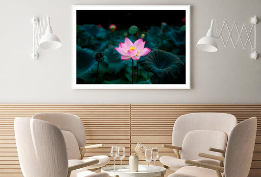 Pink Flower In a Field of Green Leaves Home Decor Premium Quality Poster Print Choose Your Sizes