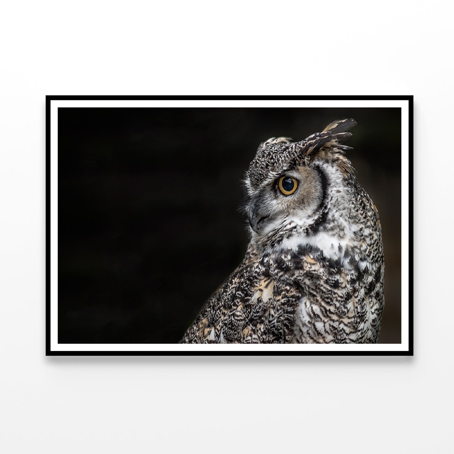 Great Horned Owl Dark Background Home Decor Premium Quality Poster Print Choose Your Sizes