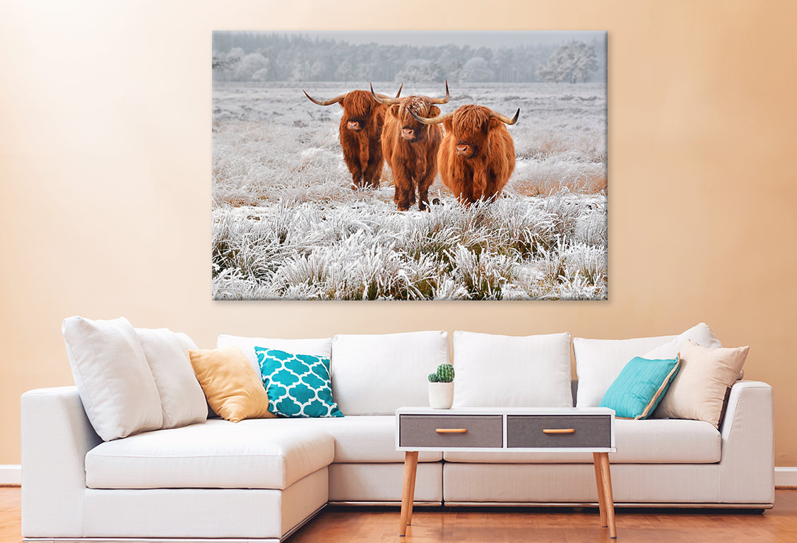 Highlanders in Winter Landscape Wall Art Decor 100% Australian Made