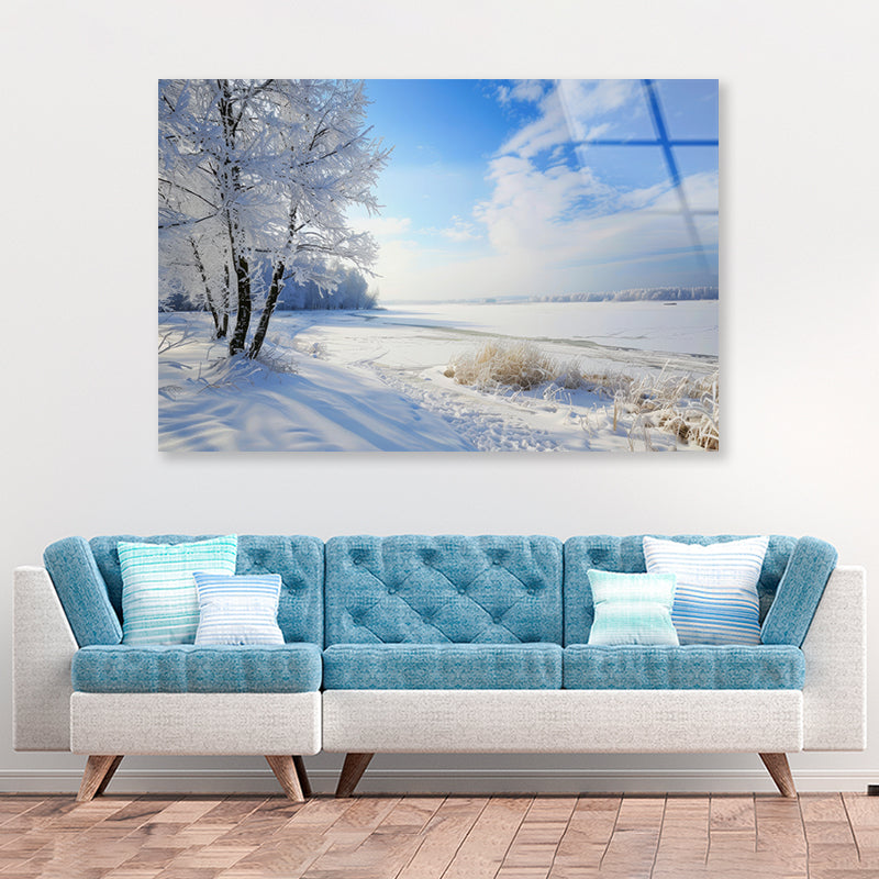 Snowy Field with Trees under a Sky Acrylic Glass Print Tempered Glass Wall Art 100% Made in Australia Ready to Hang