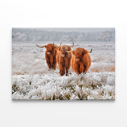 Highlanders in Winter Landscape Wall Art Decor 100% Australian Made