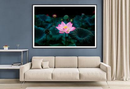 Pink Flower In a Field of Green Leaves Home Decor Premium Quality Poster Print Choose Your Sizes