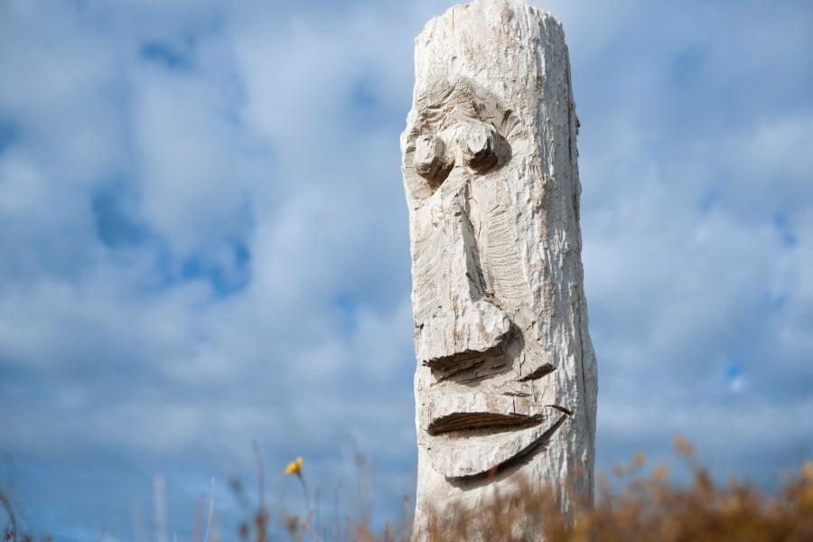 Driftwood Totem on Dunes at Ohope, Bay Off Plenty, New Zealand Acrylic Glass Print Tempered Glass Wall Art 100% Made in Australia Ready to Hang