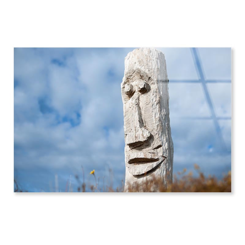 Driftwood Totem on Dunes at Ohope, Bay Off Plenty, New Zealand Acrylic Glass Print Tempered Glass Wall Art 100% Made in Australia Ready to Hang