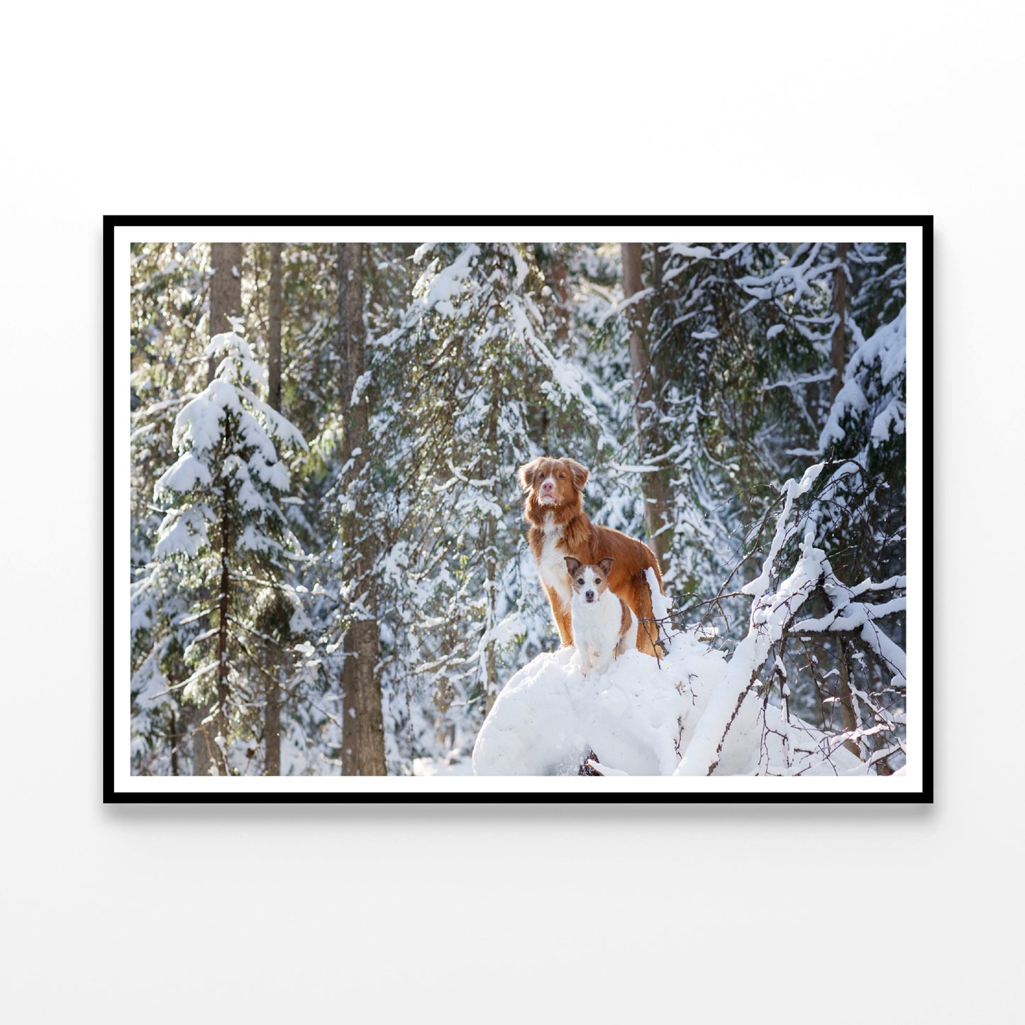 A Fox Standing On the Snow in a Winter Forest Home Decor Premium Quality Poster Print Choose Your Sizes