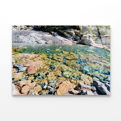 A Rocky Area with Water, Rocks and Plants Acrylic Glass Print Tempered Glass Wall Art 100% Made in Australia Ready to Hang