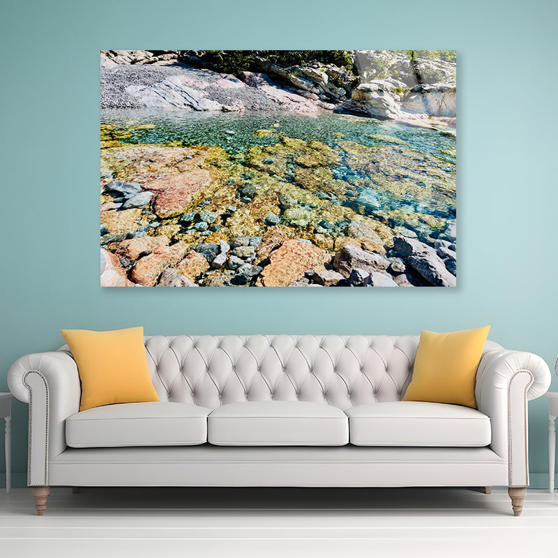 A Rocky Area with Water, Rocks and Plants Acrylic Glass Print Tempered Glass Wall Art 100% Made in Australia Ready to Hang