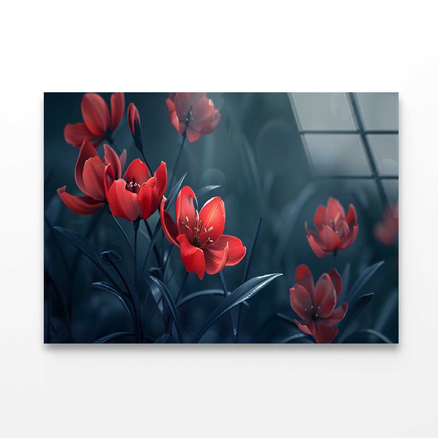 Close-Up of Red Tulip Flowers Acrylic Glass Print Tempered Glass Wall Art 100% Made in Australia Ready to Hang