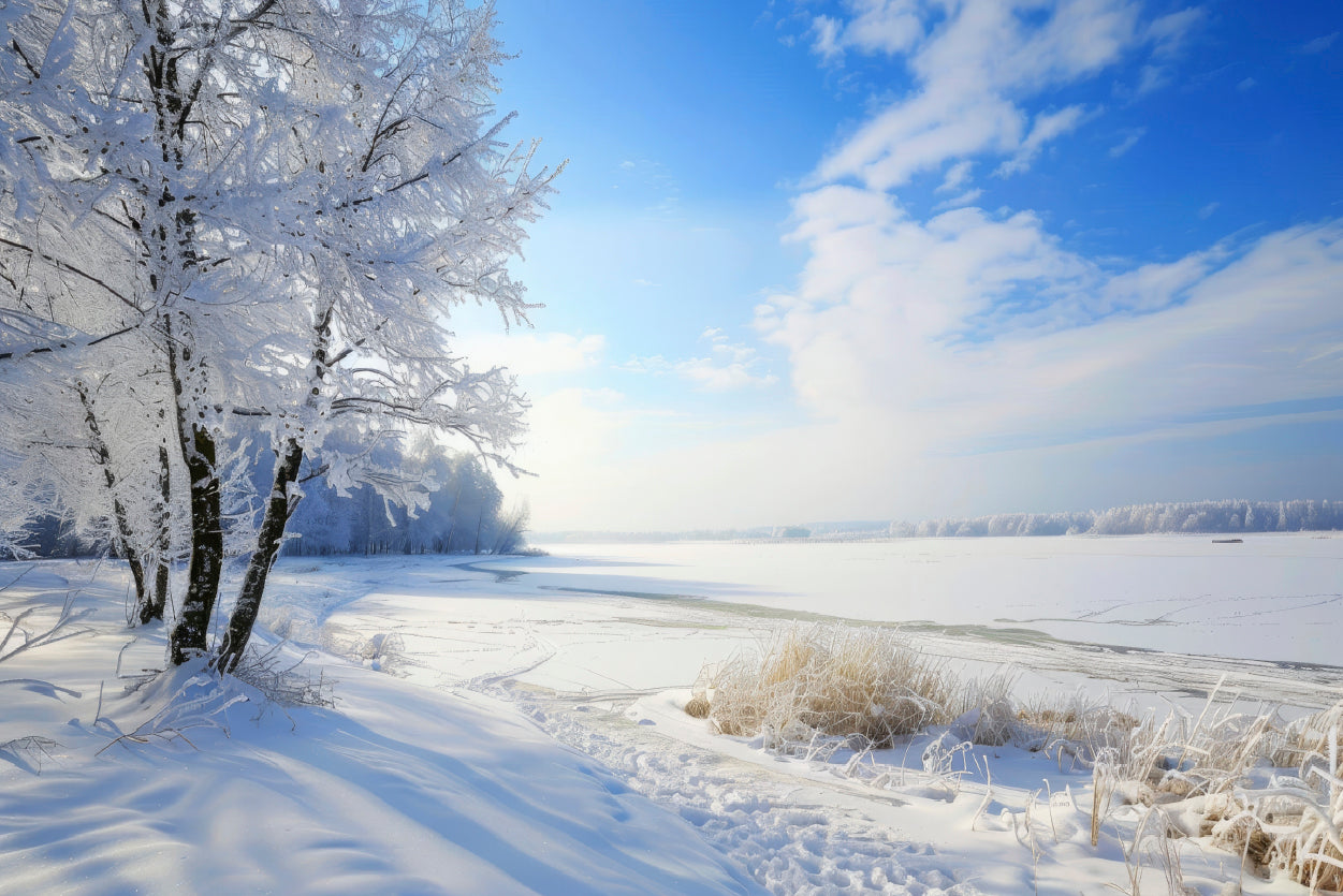 Snowy Field with Trees under a Sky Home Decor Premium Quality Poster Print Choose Your Sizes