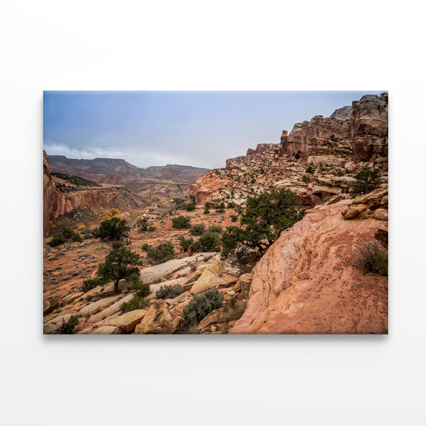 A Rocky Canyon with Trees & A Cloudy Sky Print 100% Australian Made