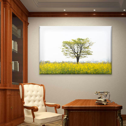 Lone Tree in Field South Korea Wall Art Decor 100% Australian Made
