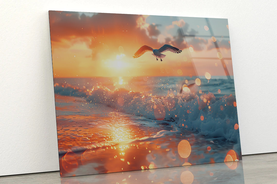 Bird Flying Over a Beach Acrylic Glass Print Tempered Glass Wall Art 100% Made in Australia Ready to Hang