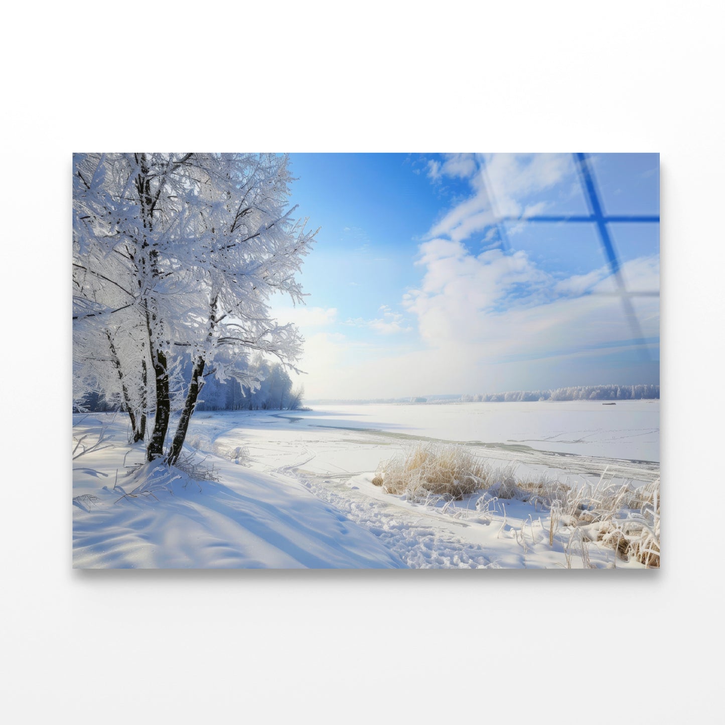 Snowy Field with Trees under a Sky Acrylic Glass Print Tempered Glass Wall Art 100% Made in Australia Ready to Hang