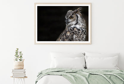 Great Horned Owl Dark Background Home Decor Premium Quality Poster Print Choose Your Sizes