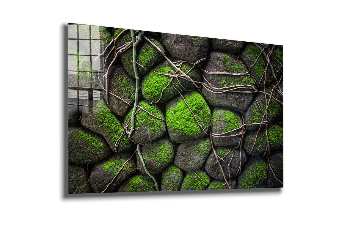 Rocks in the Moss UV Direct Aluminum Print Australian Made Quality