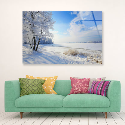 Snowy Field with Trees under a Sky Acrylic Glass Print Tempered Glass Wall Art 100% Made in Australia Ready to Hang