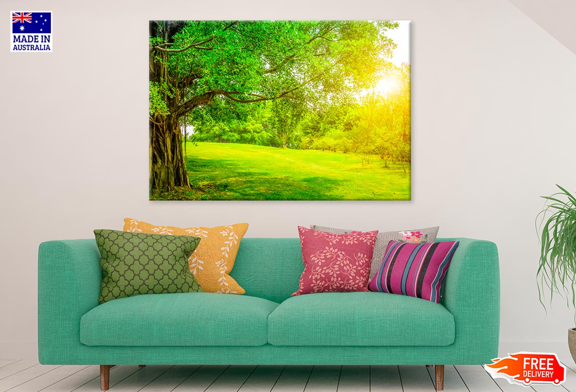 Greeny Park Forest & Sun Shining Print 100% Australian Made
