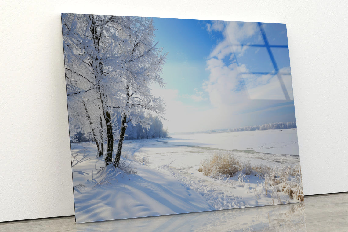 Snowy Field with Trees under a Sky Acrylic Glass Print Tempered Glass Wall Art 100% Made in Australia Ready to Hang