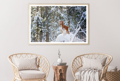 A Fox Standing On the Snow in a Winter Forest Home Decor Premium Quality Poster Print Choose Your Sizes