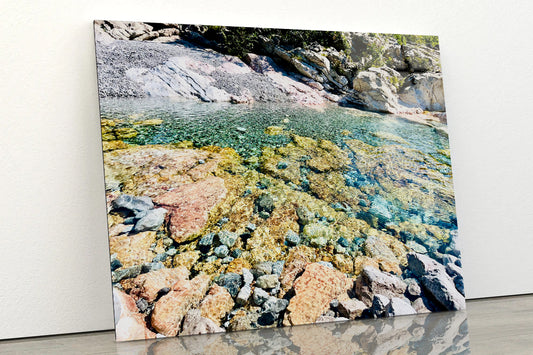 A Rocky Area with Water, Rocks and Plants Acrylic Glass Print Tempered Glass Wall Art 100% Made in Australia Ready to Hang