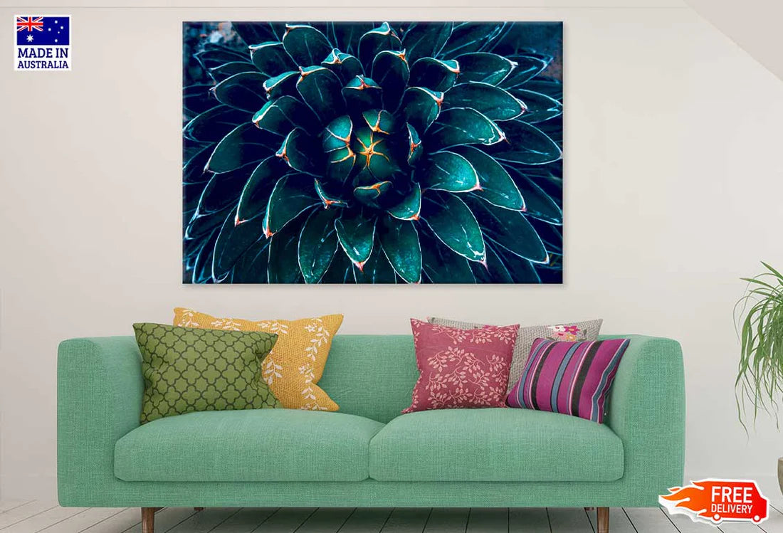 Dark Green Cactus Flower Closeup View 90x60cm Print 100% Australian Made