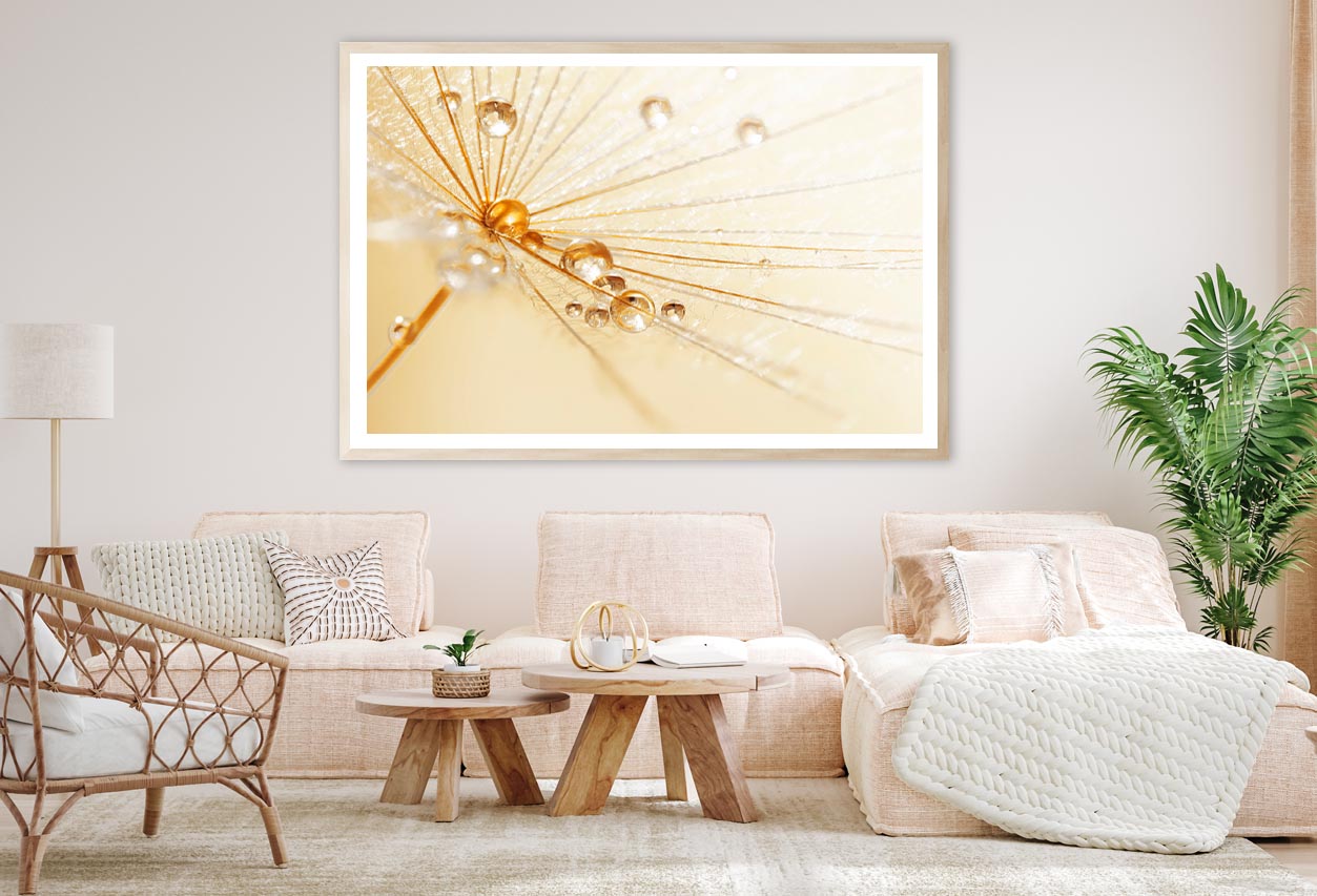 Dandelion With Water Droplets Home Decor Premium Quality Poster Print Choose Your Sizes