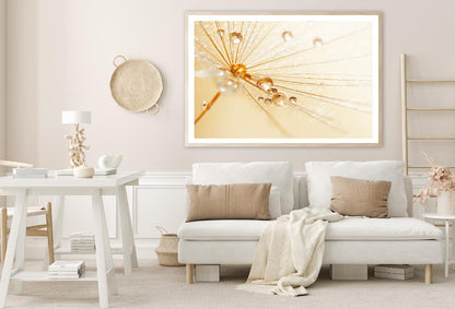 Dandelion With Water Droplets Home Decor Premium Quality Poster Print Choose Your Sizes