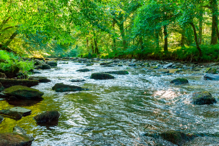 Along The River Barle in Tarr Steps Woodland Acrylic Glass Print Tempered Glass Wall Art 100% Made in Australia Ready to Hang