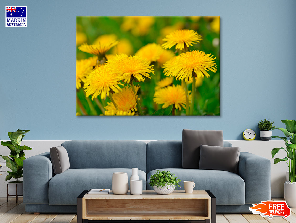 A Group of Yellow Flowers Close-Up View Print 100% Australian Made