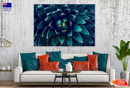 Dark Green Cactus Flower Closeup View 90x60cm Print 100% Australian Made