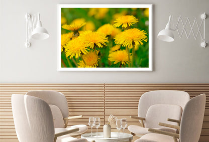 A Group of Yellow Flowers Close-Up View Home Decor Premium Quality Poster Print Choose Your Sizes