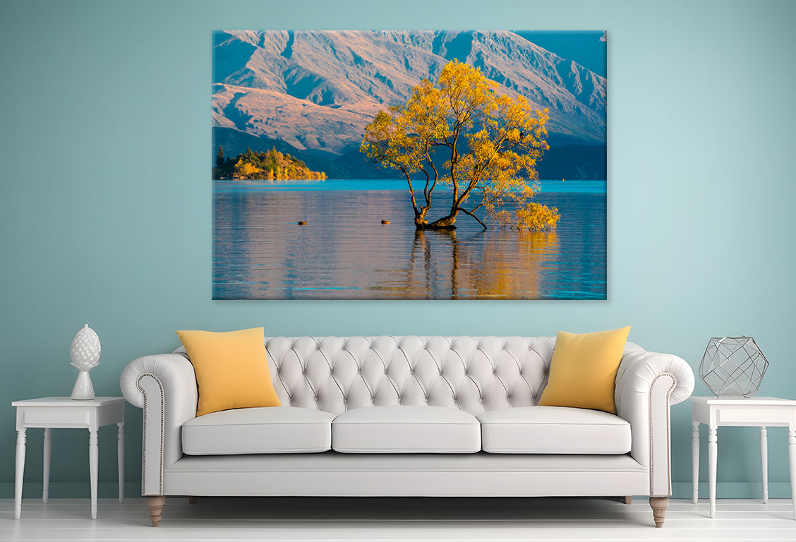 Morning Grass on Water Wall Art Decor 100% Australian Made