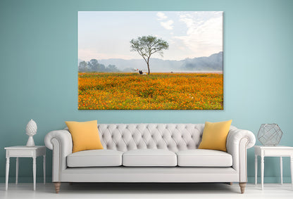 A landscape of autumn fields with cosmos in Bloom Wall Art Decor 100% Australian Made