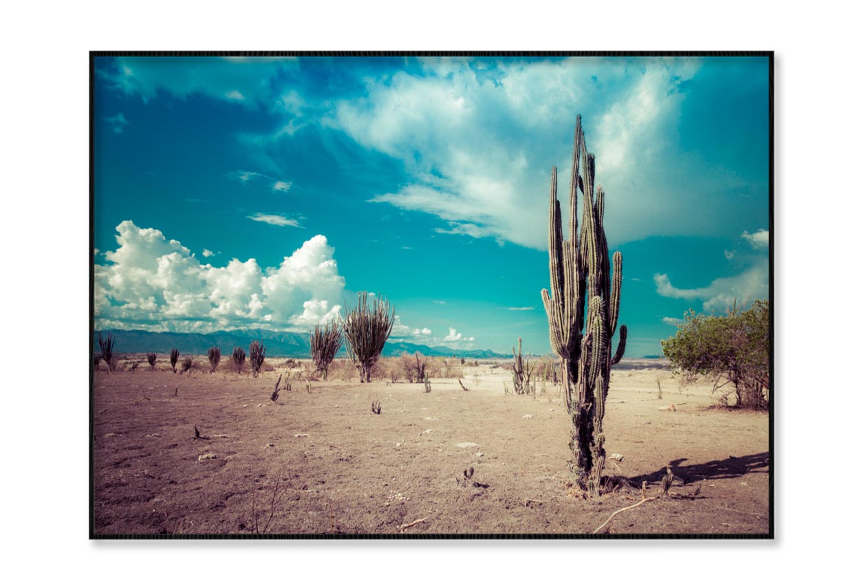 Cactus In Desert & Blue Sky Home Decor Premium Quality Poster Print Choose Your Sizes