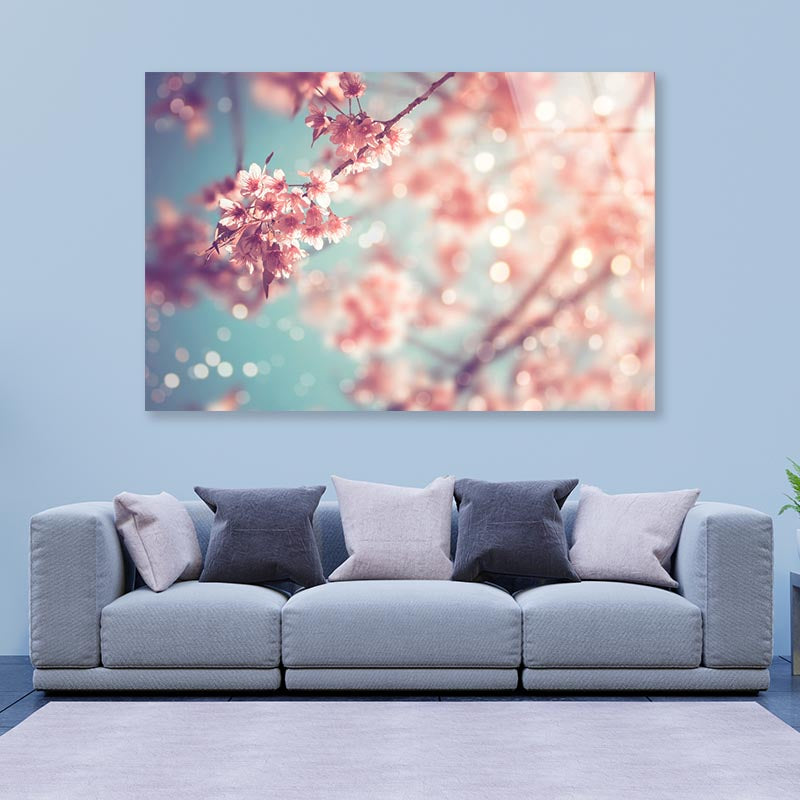 Close-Up Of Beautiful Vintage Sakura Tree Flower Acrylic Glass Print Tempered Glass Wall Art 100% Made in Australia Ready to Hang