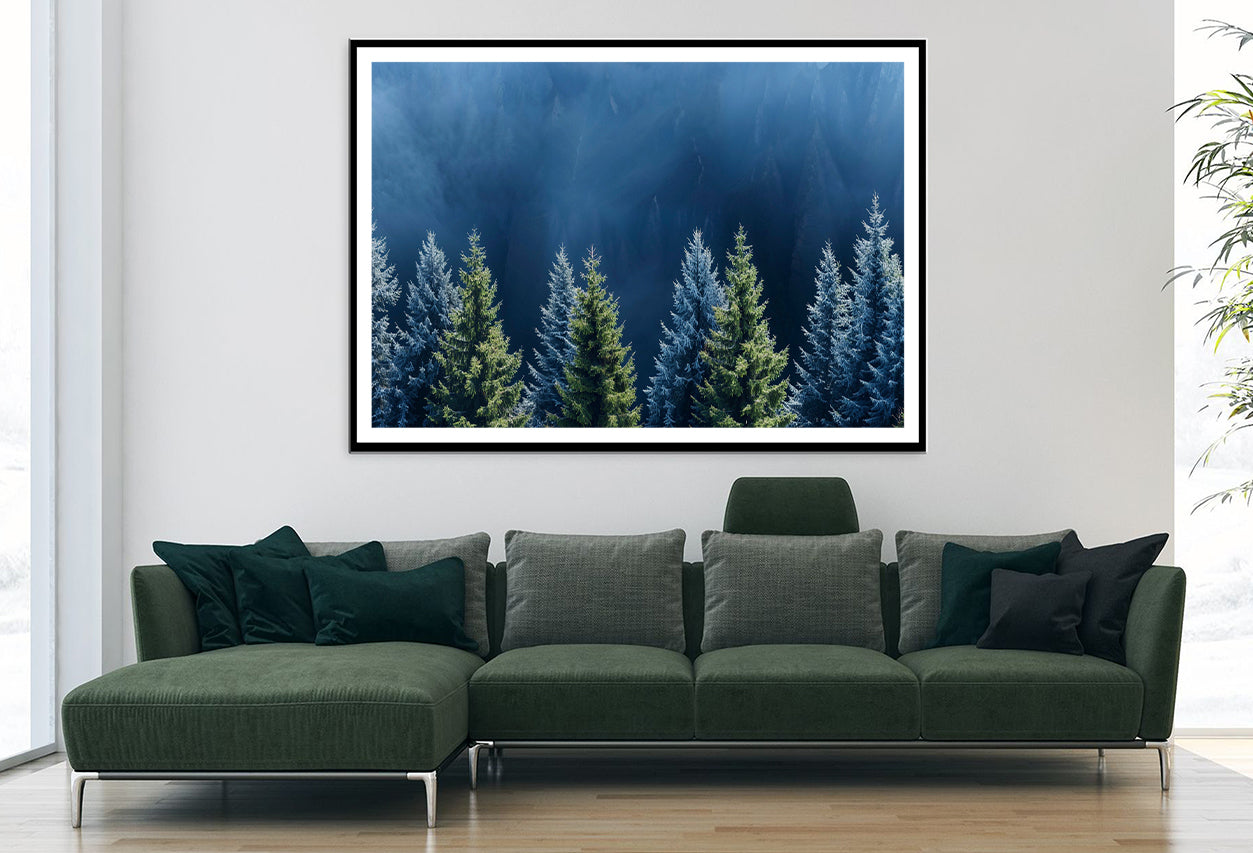 Forest Of Pine Trees Home Decor Premium Quality Poster Print Choose Your Sizes