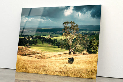 View of Grassland with Trees, Mountains & Sky Acrylic Glass Print Tempered Glass Wall Art 100% Made in Australia Ready to Hang