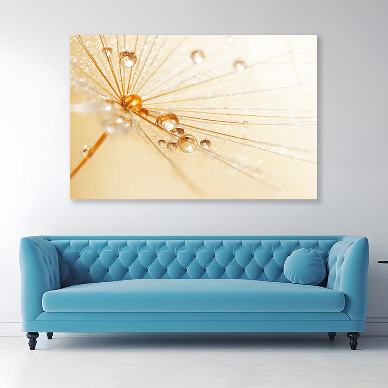 Dandelion With Water Droplets Acrylic Glass Print Tempered Glass Wall Art 100% Made in Australia Ready to Hang