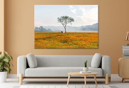 A landscape of autumn fields with cosmos in Bloom Wall Art Decor 100% Australian Made