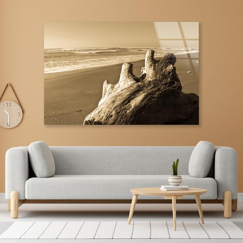 Old Log Driftwood Washed Up on Beach in Sepia Tones Acrylic Glass Print Tempered Glass Wall Art 100% Made in Australia Ready to Hang